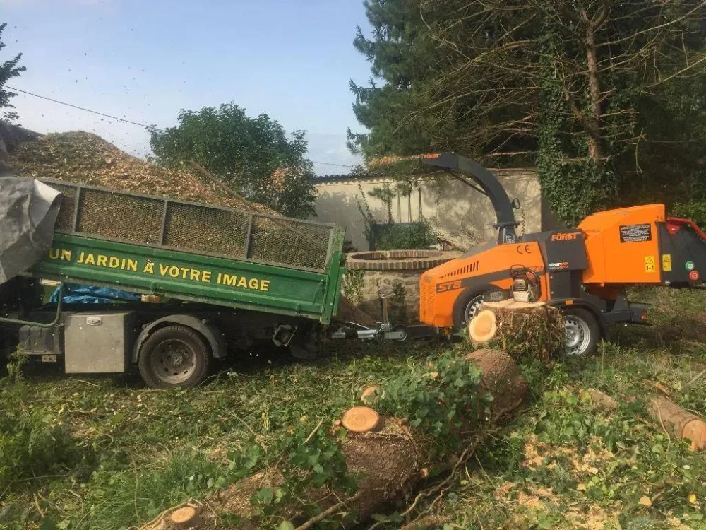 Engins pour abbattage d'arbres