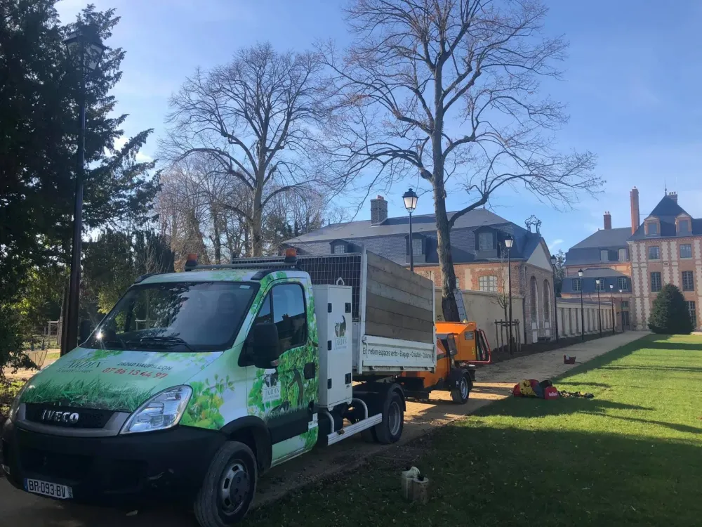 Engins et outils pour la taille et l'abbattage (5)